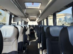 Man lion's_6380 Man lion's_6380